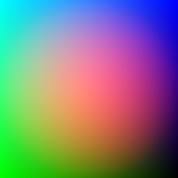 Meet your Posher, Mikky. - Picture 1 of 1